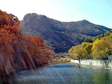 澳门天天彩期期精准平肖，上海钢塑土工格栅